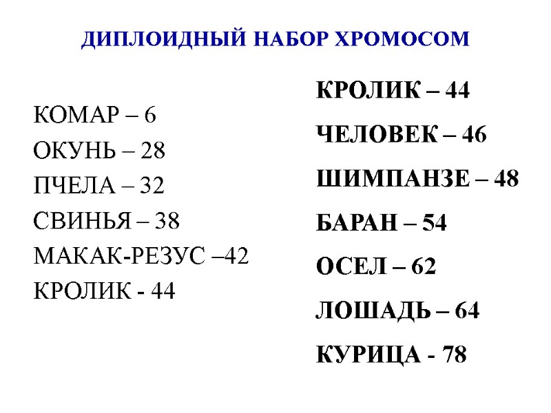 ДИПЛОИДНЫЙ НАБОР ХРОМОСОМ КОМАР – 6 ОКУНЬ – 28 ПЧЕЛА – 32 СВИНЬЯ –